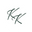 Kraving Keto Icon