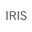 Label Iris Icon