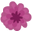 Lily Stone Gardens Icon