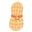 Peanut Apparel Icon