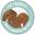 Pet Buddy Shop UK Icon