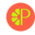 Pomelo plus Co. Icon