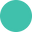 Sally Hoffman Designs Icon