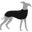 Speedray Design Wear Icon