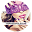 VernisOngles Icon