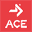 ACE Fitness Icon