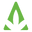 Satividol Icon