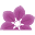 Thorncroftclematis Icon