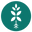 Bloombox Club Icon