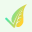 AlPassoFood Icon
