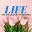 Lifetherapy UK Coaching Icon
