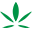 Green Herbal Care Icon