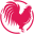 Domainrooster.net Icon