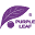 PURPLE LEAF Icon