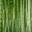 SleepBamboo Icon
