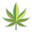 Happy Flower Icon