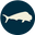 Sea Señor Outfitters Icon