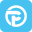 Paradox Customs Icon