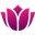 Underwearsdeals.com Icon