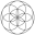 Acorn to Oak Icon