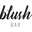 Blush Bar Icon