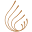 Canna Essentia Icon