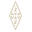 Zaya Conscious Collective Icon