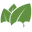Keeva Organics Icon
