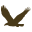 Birdertown Icon