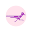 Roadrunner Spirits Icon