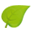 Kittoner Icon