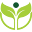 Herbal Secrets Icon