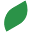Nutrizus Icon