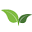 iSpice You Icon