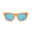 Sunnies Shades Icon