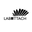 Labottach USA Icon