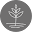 Grow & Glow Clinic Icon