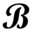 Bagghy Icon