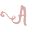 Amour Jewelry & Accessories Icon