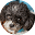 AAPETPEOPLE Icon