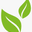 Ecotech Eyeglasses Icon