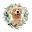 Pet Pima Icon