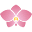 Serenity Zen Icon