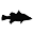 Barramundies Icon
