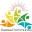 Sassa status check Icon