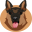 BergerDoge Icon