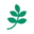 Plastec Icon
