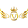 Venus Cosmetic Surgery Icon