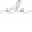 Ecla Decoration Icon