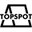Topspot Cards Icon